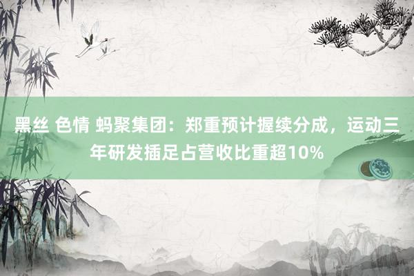 黑丝 色情 蚂聚集团：郑重预计握续分成，运动三年研发插足占营收比重超10%