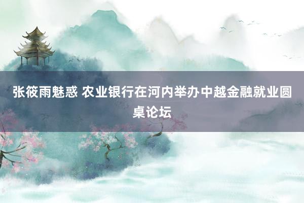 张筱雨魅惑 农业银行在河内举办中越金融就业圆桌论坛
