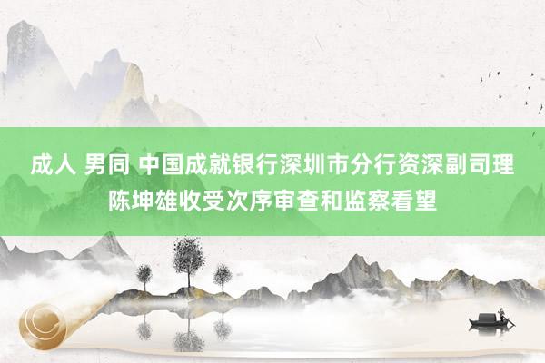 成人 男同 中国成就银行深圳市分行资深副司理陈坤雄收受次序审查和监察看望
