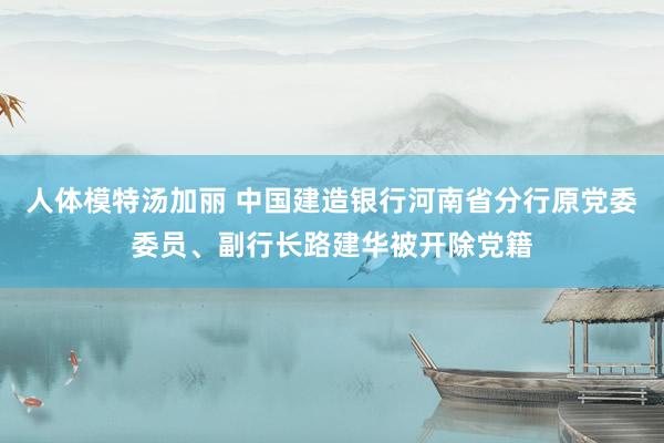 人体模特汤加丽 中国建造银行河南省分行原党委委员、副行长路建华被开除党籍